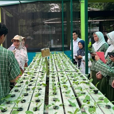 MTsN 41 Al Azhar Asy Syarif: Menggali Ilmu Hidroponik di Agro Edukasi Wisata Ragunan