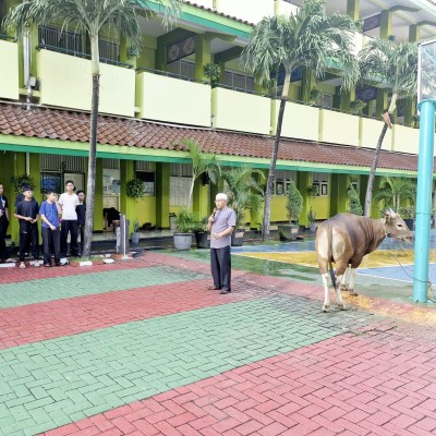MAN 7 Jakarta Laksanakan Qurban, Tingkatkan Nilai Keimanan dan Ukhuwah