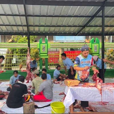 MAN 16 Jakarta Laksanakan Penyembelihan Hewan Kurban, Salurkan kepada Warga dan Siswa