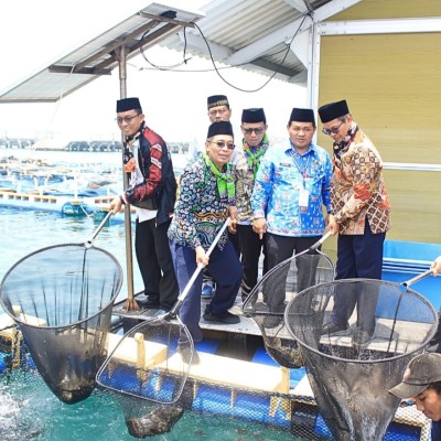 Budidaya Ikan Kerapu di Pulau Tidung, Bukti Nyata Pemanfaatan Zakat Produktif
