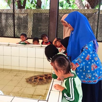 Penyuluh Agama Islam KUA Kepulauan Seribu Utara Tanamkan Nilai Ekoteologi Lewat Edukasi Pelestarian Penyu