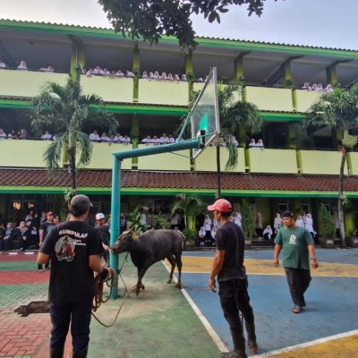 MAN 7 Jakarta Laksanakan Pemotongan Hewan Kurban di Lingkungan Madrasah