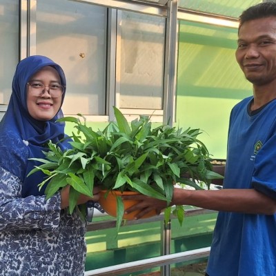 Panen Hidroponik, Siswa MTsN 41 Belajar Berbagi dan Peduli Lingkungan