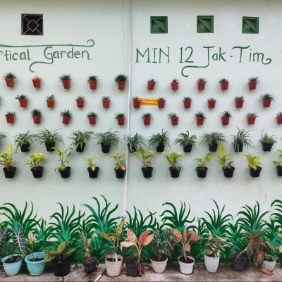Vertical Garden Perkuat Ekoteologi di MIN 12 Jakarta
