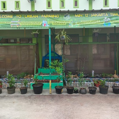 MIN 12 Jakarta Timur Kembangkan Urban Farming sebagai Implementasi Ekoteologi