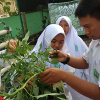 Meriahkan Hari Tani Nasional MAN 16 Jakarta Panen Sayuran Hidroponik 